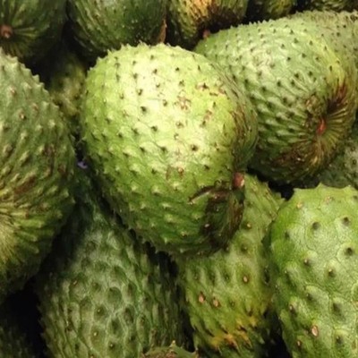 100+ Sweet El Salvador Soursop Seedss (Annona muricata) Sweet Soursop