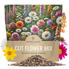 Best Cut Flower Garden Seeds - Extra Large 1 Ounce Packet Over 7 500 Fresh Open 223.84 per gallon
