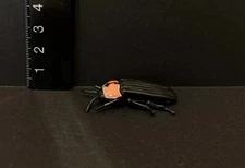 Kaiyodo Animatales Choco Q Series 2 Genji firefly Figure