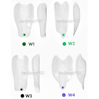 SIGNET Dental Widening Front Tranparent Clear Matrix BT Matrices