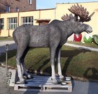 Bild 3 von 18
