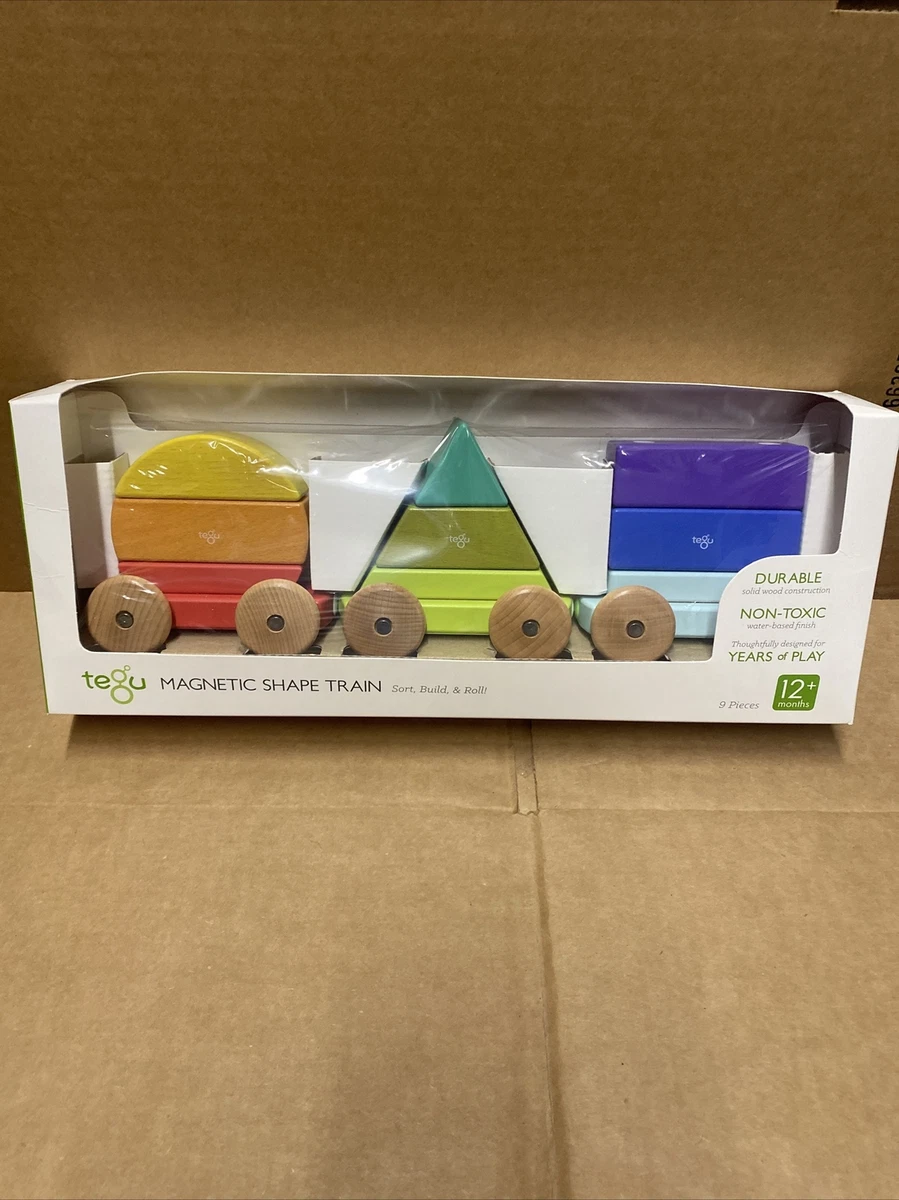Tegu cheap shape train
