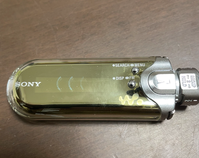 SONY NW-E507 Walkman Digital Music Player 1GB Premium Gold USB