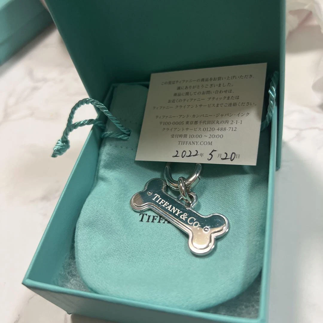 Update more than 160 cat necklace tiffany best songngunhatanh.edu.vn