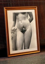 The naked look Poster No Frame, Sexy Girl  poster