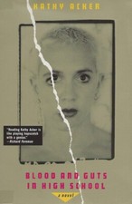 Kathy Acker Blood And Guts In High School (Paperback)