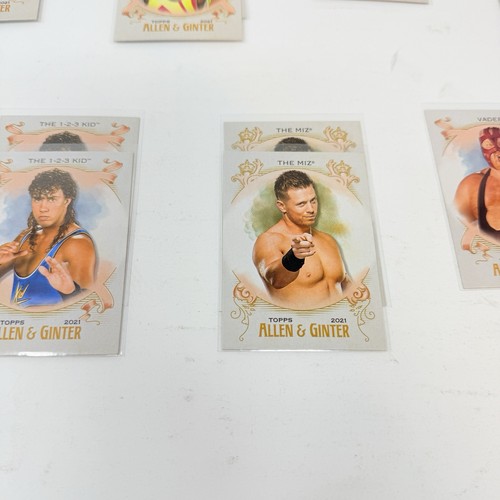 2021 Topps Heritage WWE Allen & Ginter 25 Card Lot 9 Different Wrestling - Picture 9 of 10