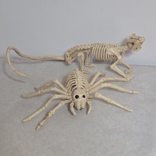 Skeleton Rat  Spider Plastic Halloween Decor Decoration Dead Animal Prop Spooky