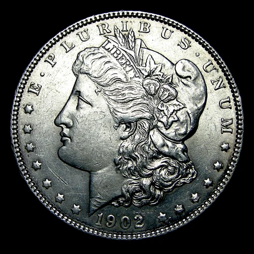 1902 Morgan Dollar Silver  ----Unc Detail Coin ---- #649W