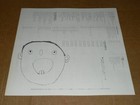 Bild 6 von 9