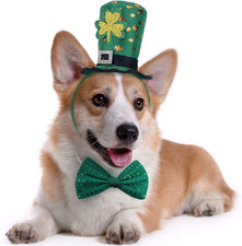 St Patricks Day Dog Costume - St. Patty'S Day Doggie Headband and Green Bow Tie