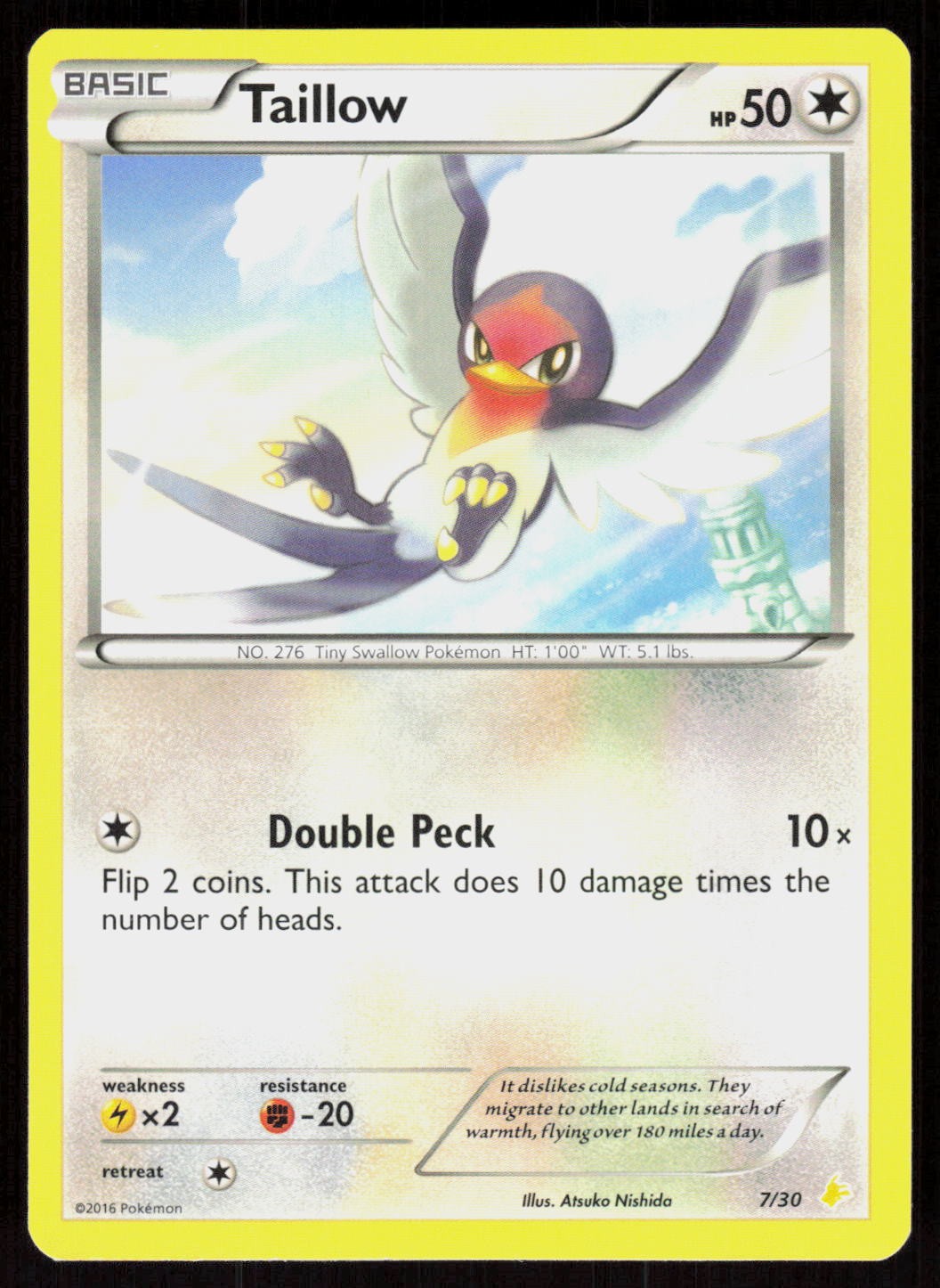 XY Trainer Kit: Pikachu Libre & Suicune Taillow 7/30 Common Pokemon LP