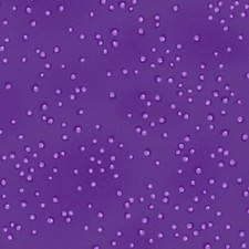 Laurel Burch Basic Droplet Purple - Dots-Blender -100 cotton 1/4 Yard