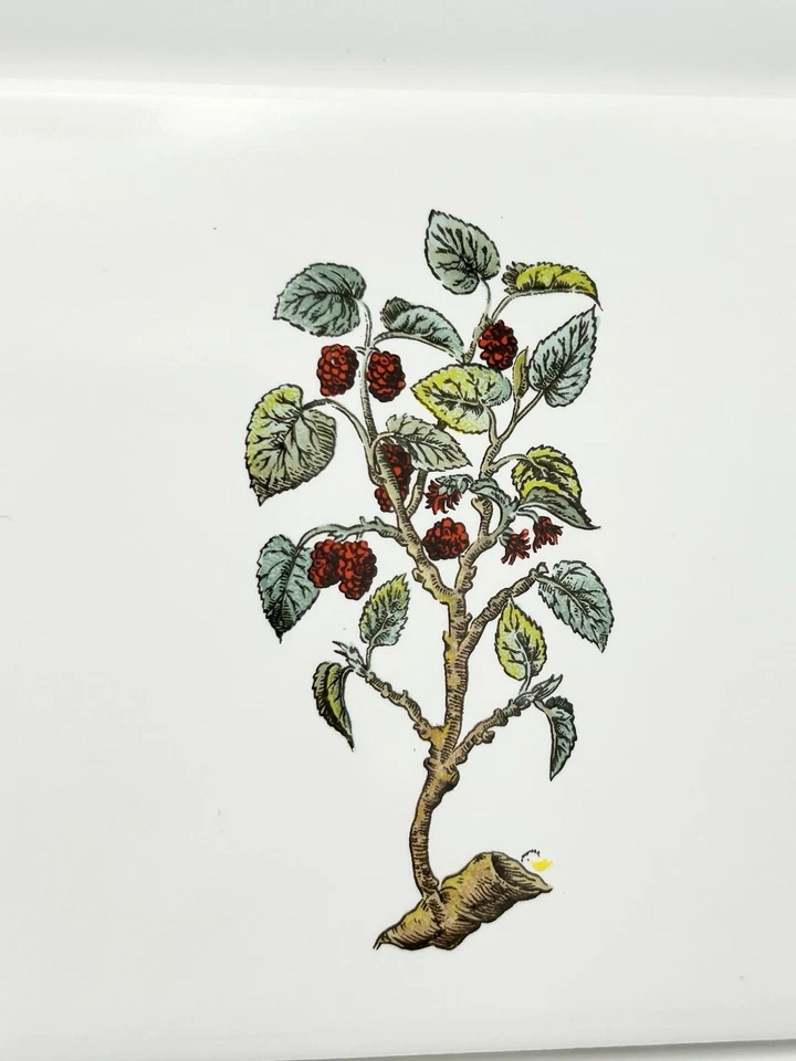 复古 Mid-State/Mannington MCT 瓷砖 4 3/8 英寸白色花卉植物口音 4 件套 — 第 2/4 张图片