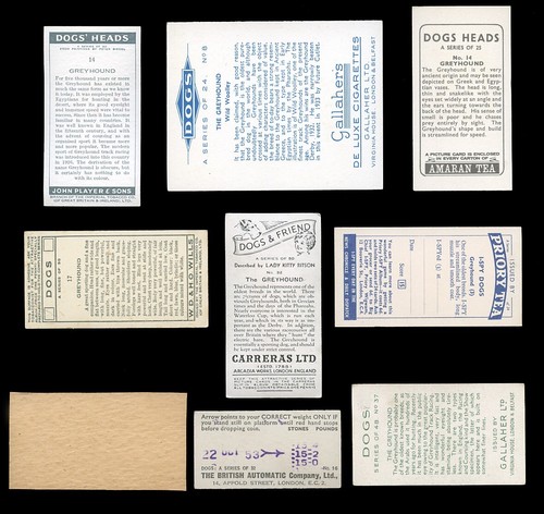 GREYHOUND DOG VINTAGE CIGARETTE & TRADE CARDS - Collection of 9 all original - Foto 2 di 2