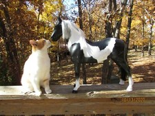 our generation black and white horse