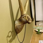 Picture 5 of 11