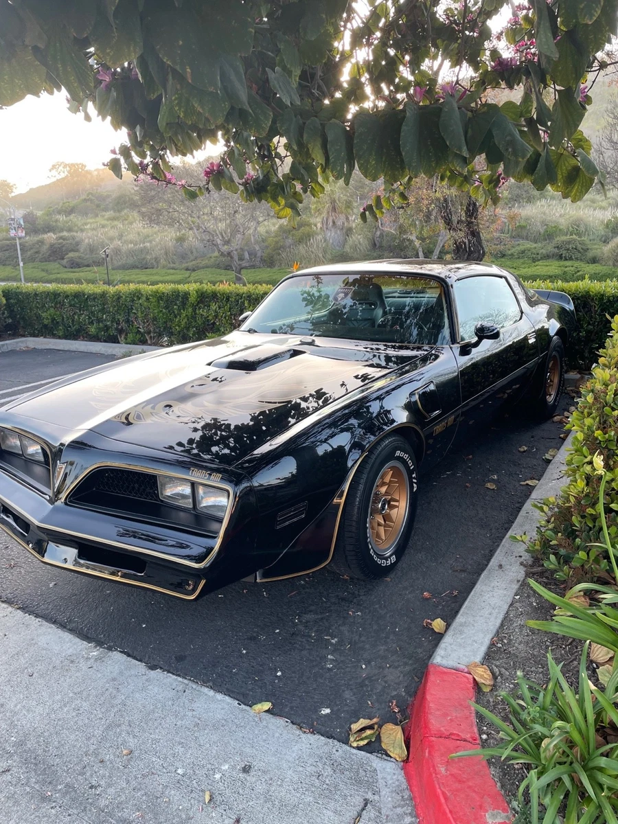 Las mejores ofertas en 1978 Pontiac Firebird | eBay