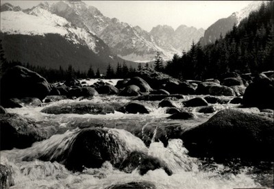 Javorovy dolina Vysoke Tatry Slovakia vintage postcard a966