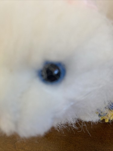 Webkinz white fluffy Persian Cat With Webkins Cheerleading Outfit Ganz Persian - Picture 2 of 11
