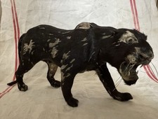 Antique Victorian Circus Toy Black Panther Taxidermy Goat Fur Glass Eyes