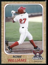 Nonie Williams 2018 Orem Owlz Team Set Card