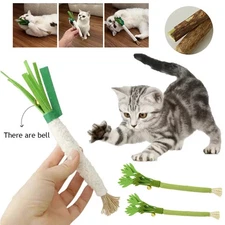 Cat Chew Toy with Wood Arborvitae for Play Exercise and Mental Stimulation