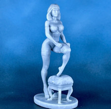 Resin Tabletop Miniature madam. mistress. Toy Soldiers 40