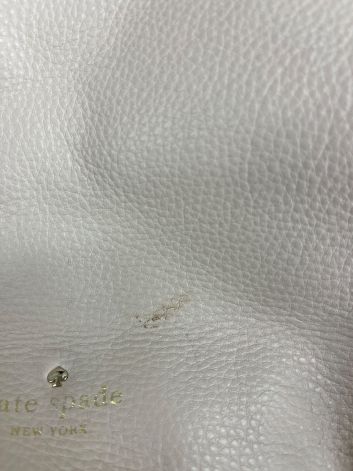 Picture 3 of 12