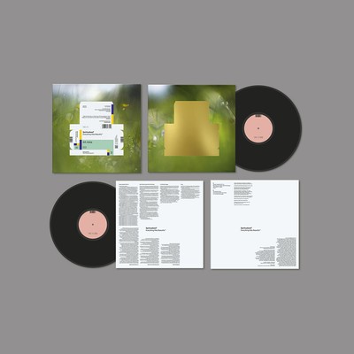 Spiritualized - Everything Was Beautiful Black Vinyl Edition (2022 - Original)