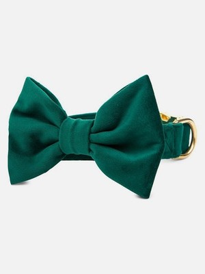 Foggy Dog's Green Velvet Dog Collar Size Medium