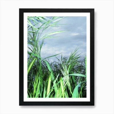Close to the Earth, close to the He Framed Wall Art Poster Canvas Print Picture