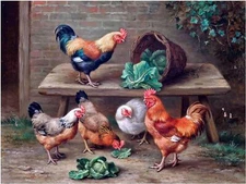 Cabbage Thieves Rooster Farmyard Tile Mural Kitchen Backsplash Marble Ceramic