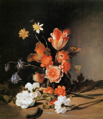 2 Dvd HD Stock Photo Jpeg Photograph Dutch Flemish Still Life Painting Clara Pee