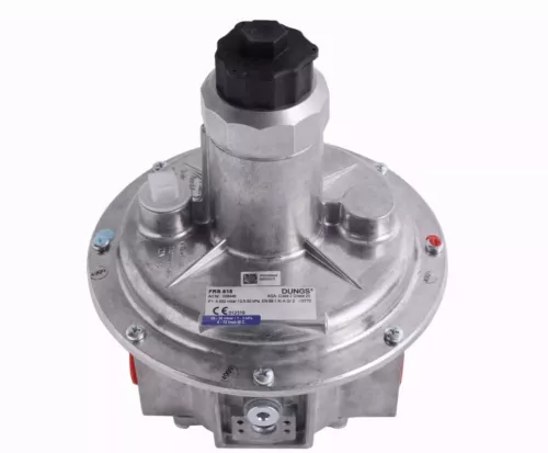 1PCS NEW FIT FOR gas pressure reducing valve FRS515 - Picture 1 of 3