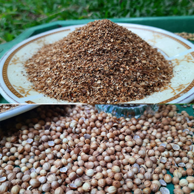 100% Organic CORIANDER GROUND POWDER DHANIA ground powder garam masala