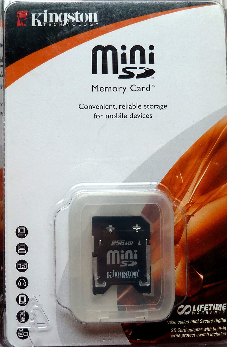 Kingston SD Canvas React Plus V60 SDR2V6/256GB - Scheda di memoria
