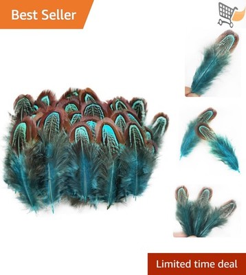 200 Pcs Blue Pheasant Feathers 2-3 Inch for Crafts Sewing Decor DIY Accessories