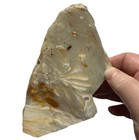 HEBER UTAH PETRIFIED WOOD SLAB ~ 154 grams / rough agate jasper mineral rock cab — photo 7