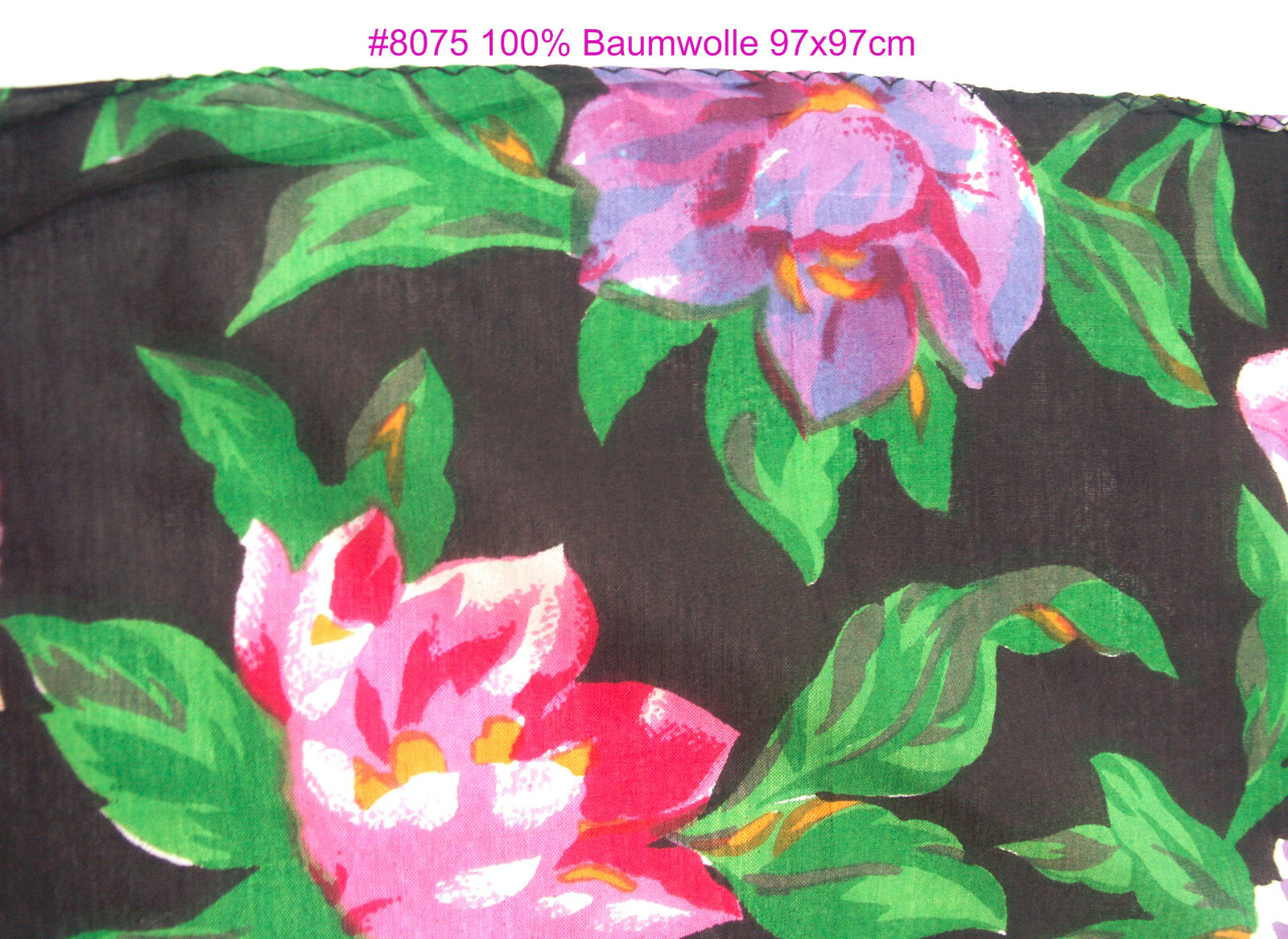 Bild 81 von 81