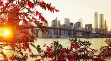 Landscape fall city new york sunlight bridge leaves Custom Gaming Mat Desk