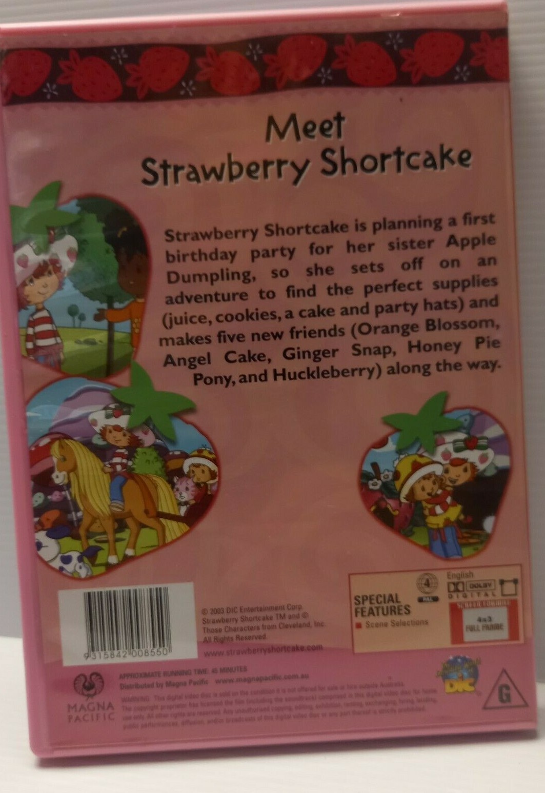 2 × STRAWBERRY SHORTCAKE DVDS horse tales & meet strawberry shortcake