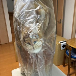 Japan Artisan | eBay Stores