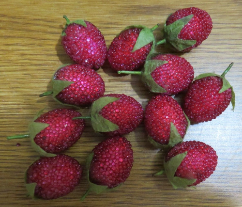 Lot Of 14 SUGAR Beaded Strawberries 1.5 INCH LONG Decorative Faux Fruit