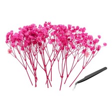 30 Pcs Dried Gypsophila Flower 4" Rose Pink Pressed Flowers with Tweezer