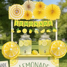 Yoyuspy Lemonade Stand Party Decorations - 10PCS Lemonade Stand Banner Paper ...