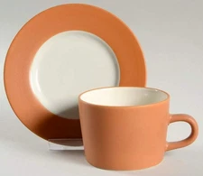 Signature Taos Orange Cup & Saucer 668187