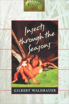 Insects Through The Seasons