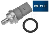 Meyle 1009190032 Sensor FüR KüHlmitteltemperatur Sensor