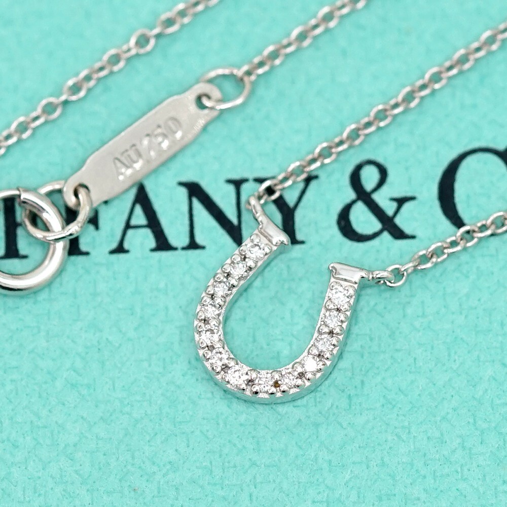 Tiffany & Co. Diamond Mini Horseshoe .08ct Necklace 16